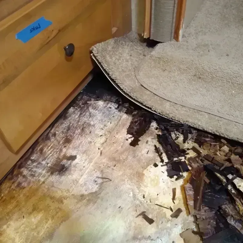 Wood Floor Water Damage in Lincoln Village, OH